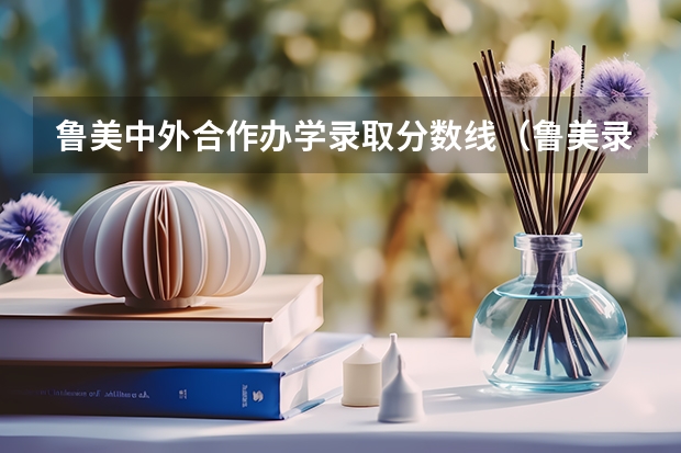 鲁美中外合作办学录取分数线（鲁美录取分数线2023）