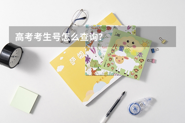 高考考生号怎么查询？