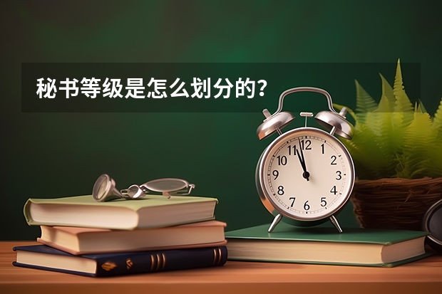 秘书等级是怎么划分的？