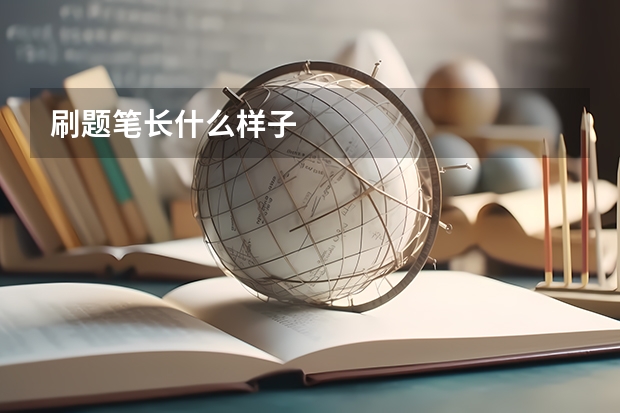 刷题笔长什么样子