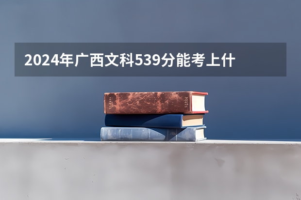 2024年广西文科539分能考上什么大学?
