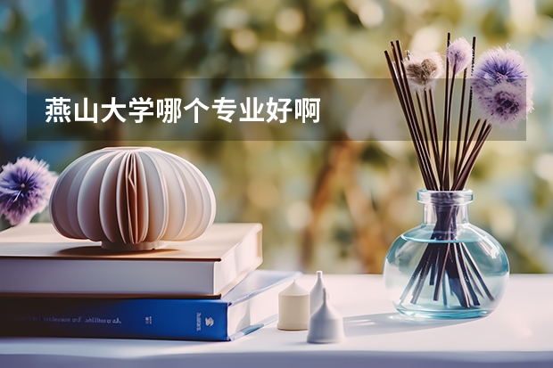 燕山大学哪个专业好啊
