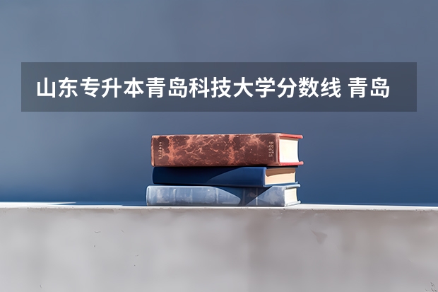 山东专升本青岛科技大学分数线 青岛科技大学分数线
