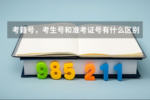 考籍号，考生号和准考证号有什么区别呢？