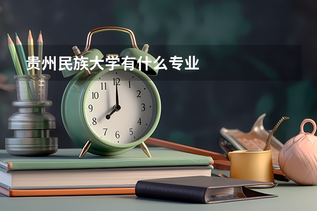 贵州民族大学有什么专业