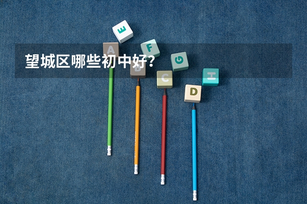 望城区哪些初中好？