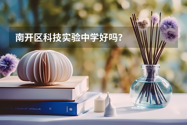 南开区科技实验中学好吗？