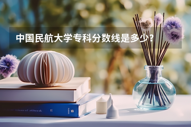 中国民航大学专科分数线是多少？