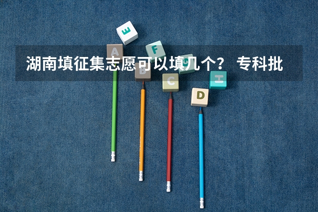 湖南填征集志愿可以填几个？ 专科批征集志愿可以填几个学校
