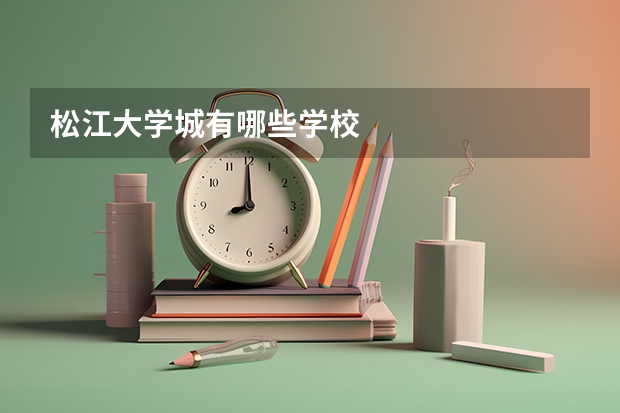 松江大学城有哪些学校