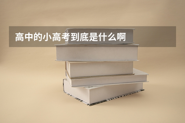 高中的小高考到底是什么啊