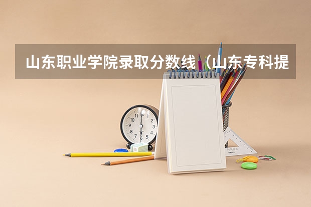 山东职业学院录取分数线（山东专科提档线）