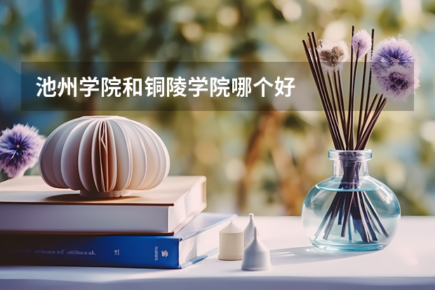 池州学院和铜陵学院哪个好