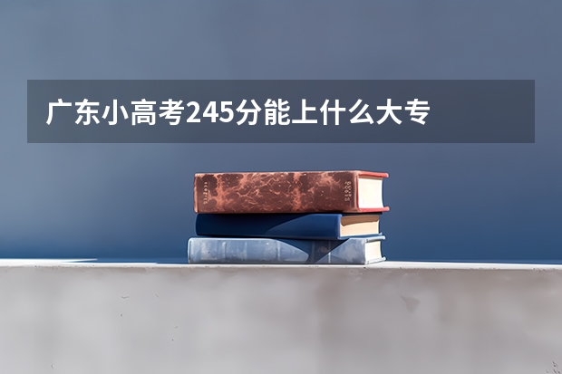 广东小高考245分能上什么大专