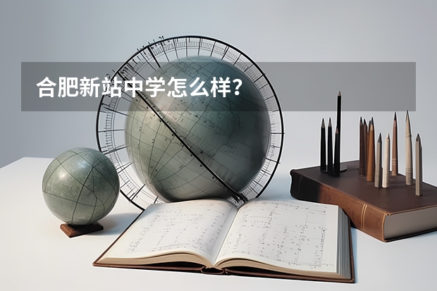 合肥新站中学怎么样？