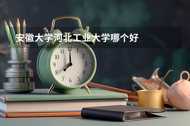 安徽大学河北工业大学哪个好