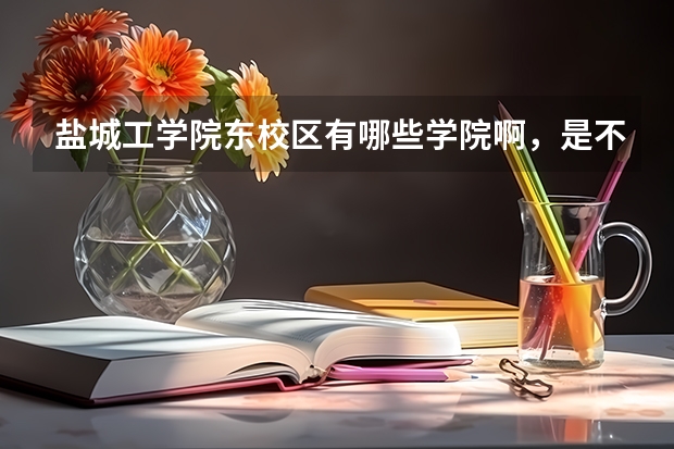 盐城工学院东校区有哪些学院啊，是不是只有博雅学院，还有没有一些其他的本二类型的学院了