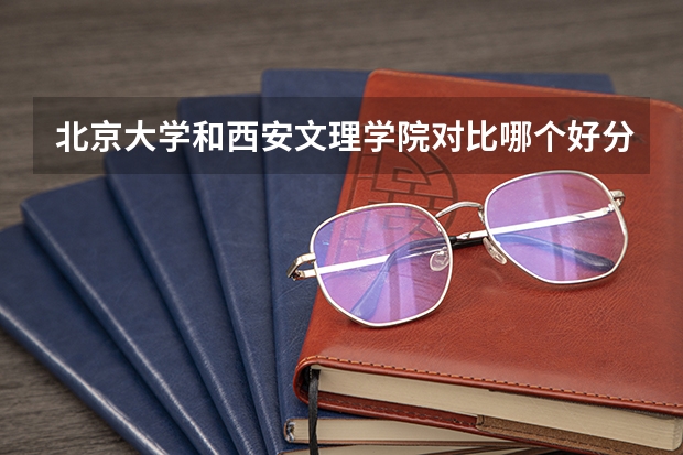 北京大学和西安文理学院对比哪个好分析