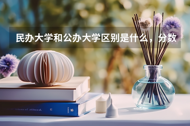 民办大学和公办大学区别是什么，分数线会相差很大吗 求跪…