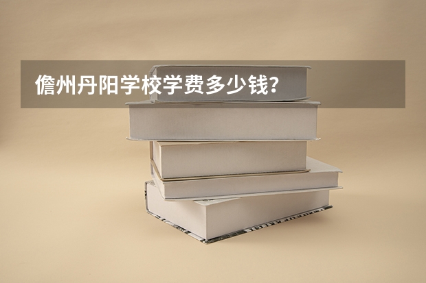 儋州丹阳学校学费多少钱？