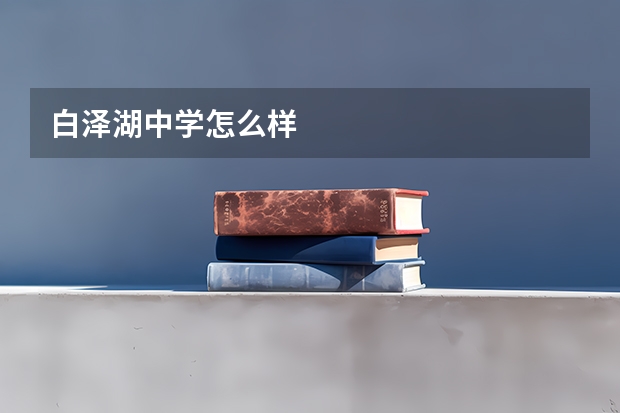 白泽湖中学怎么样