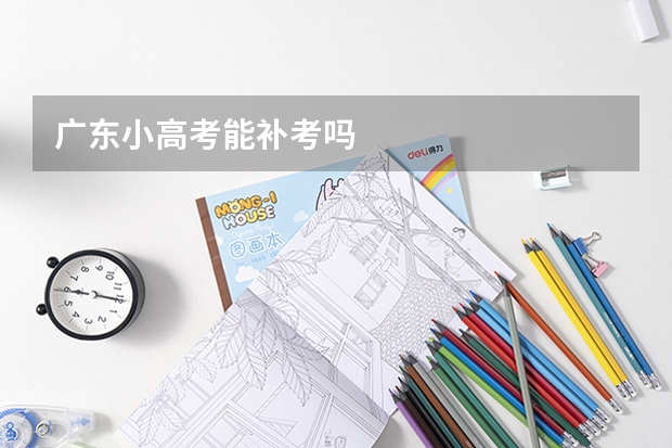 广东小高考能补考吗