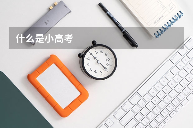 什么是小高考