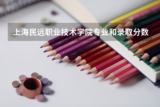 上海民远职业技术学院专业和录取分数线详解