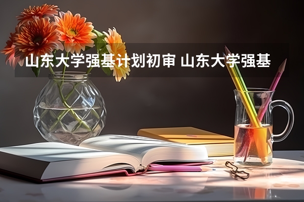 山东大学强基计划初审 山东大学强基计划历史系通过率