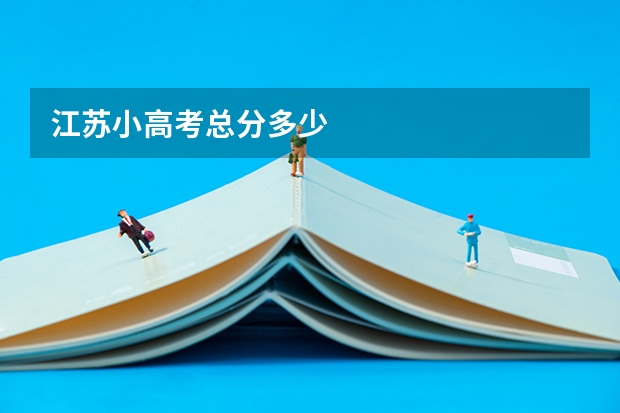 江苏小高考总分多少