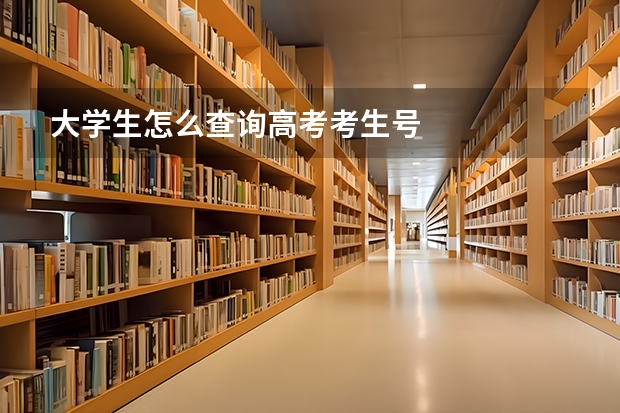 大学生怎么查询高考考生号