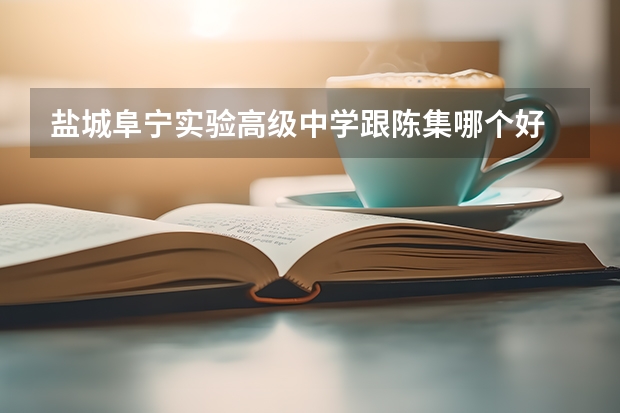 盐城阜宁实验高级中学跟陈集哪个好