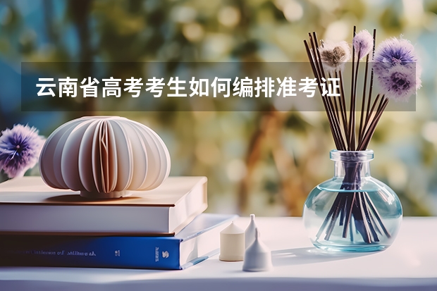 云南省高考考生如何编排准考证