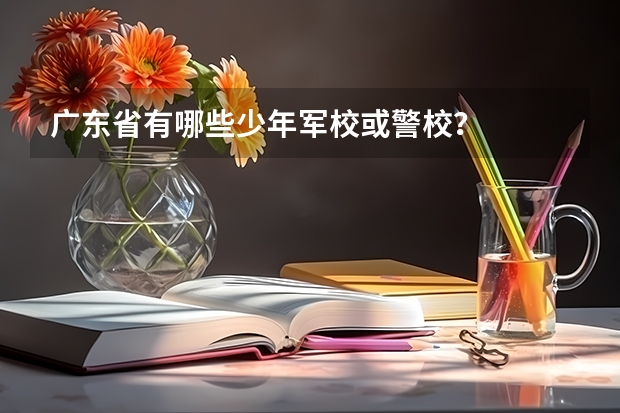 广东省有哪些少年军校或警校？