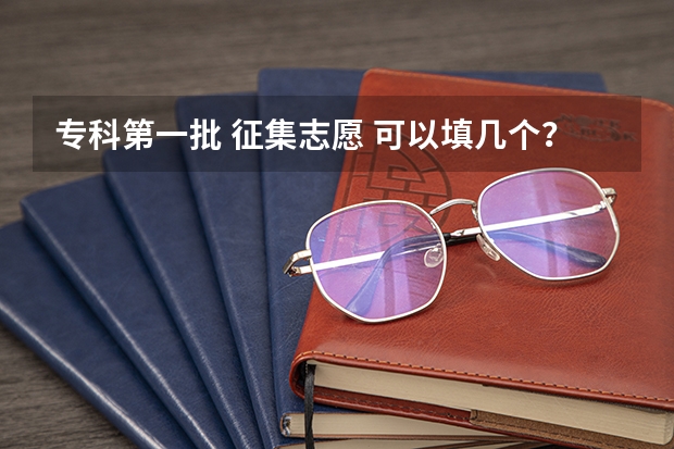 专科第一批 征集志愿 可以填几个？？急！！！！（河北本科批第一次征集志愿的学校）