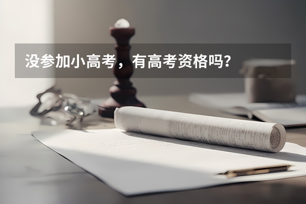没参加小高考，有高考资格吗？