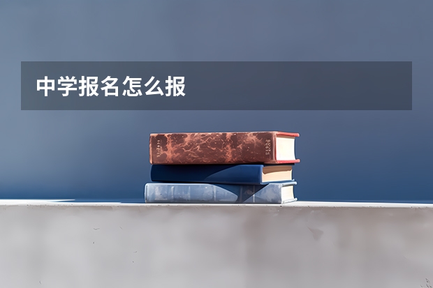 中学报名怎么报