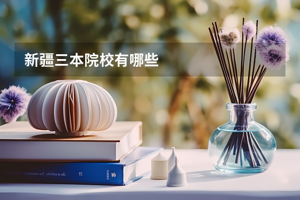 新疆三本院校有哪些