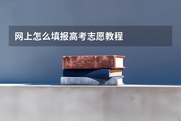 网上怎么填报高考志愿教程
