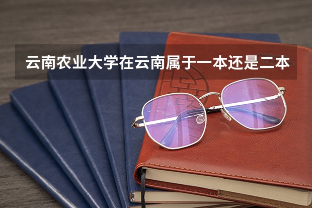 云南农业大学在云南属于一本还是二本？（云南二本大学录取情况）