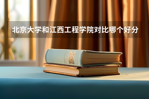 北京大学和江西工程学院对比哪个好分析