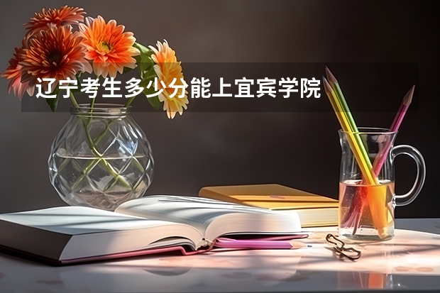 辽宁考生多少分能上宜宾学院