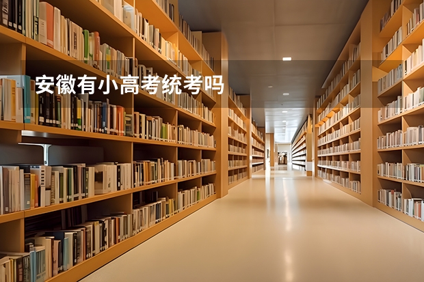 安徽有小高考统考吗