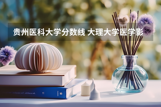 贵州医科大学分数线 大理大学医学影像学录取分数线