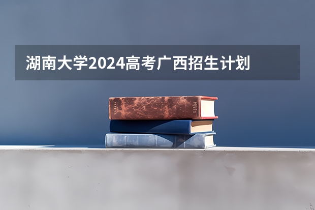 湖南大学2024高考广西招生计划