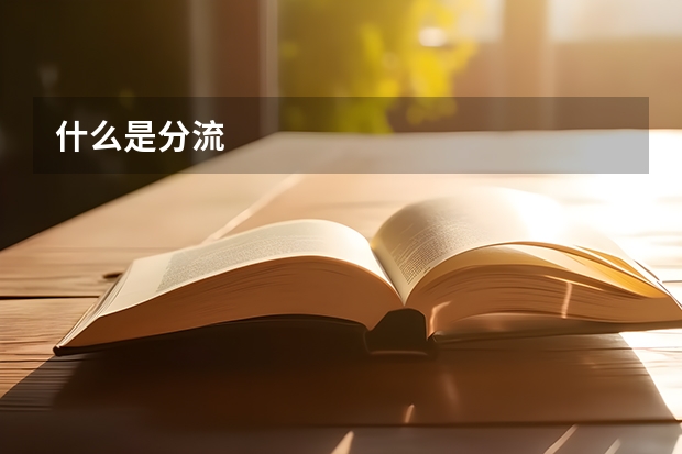 什么是分流