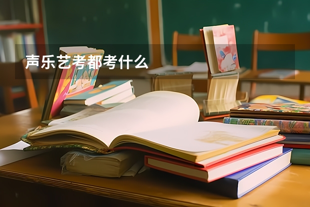 声乐艺考都考什么