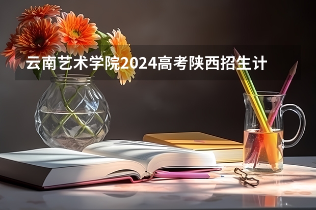 云南艺术学院2024高考陕西招生计划
