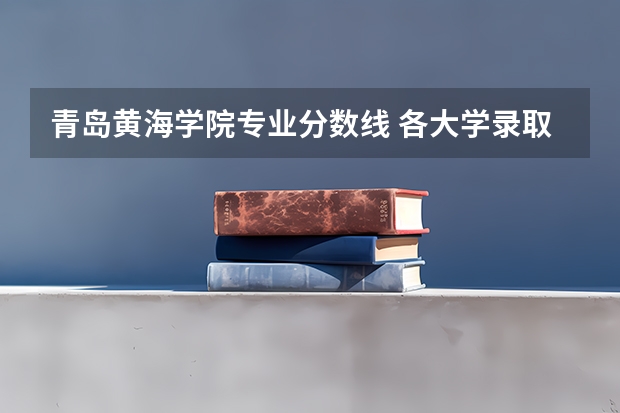 青岛黄海学院专业分数线 各大学录取山东考生分数线
