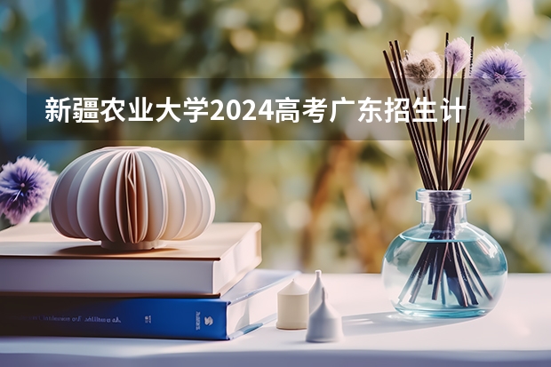 新疆农业大学2024高考广东招生计划
